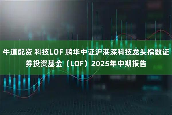 牛道配资 科技LOF 鹏华中证沪港深科技龙头指数证券投资基金（LOF）2025年中期报告