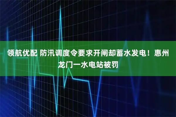 领航优配 防汛调度令要求开闸却蓄水发电!惠州龙门一水电站被罚