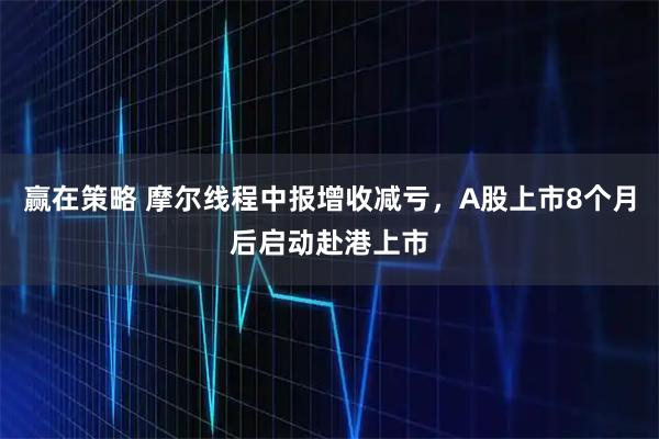 赢在策略 摩尔线程中报增收减亏，A股上市8个月后启动赴港上市